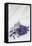 Lavender, Blossoms, Smell, Bunch, Wood-Andrea Haase-Framed Premier Image Canvas