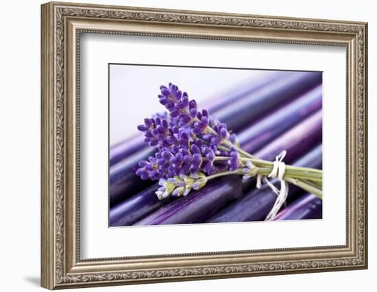 Lavender, Blossoms, Smell, Bunch-Andrea Haase-Framed Photographic Print