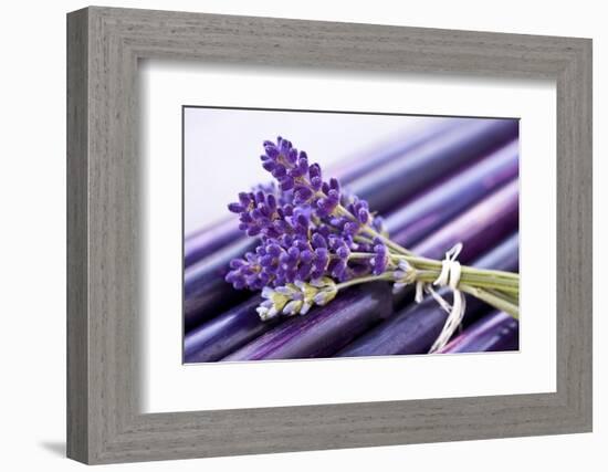 Lavender, Blossoms, Smell, Bunch-Andrea Haase-Framed Photographic Print