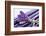 Lavender, Blossoms, Smell, Bunch-Andrea Haase-Framed Photographic Print