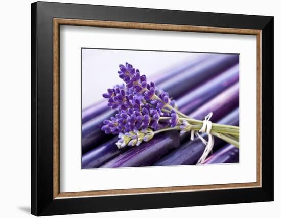 Lavender, Blossoms, Smell, Bunch-Andrea Haase-Framed Photographic Print