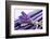 Lavender, Blossoms, Smell, Bunch-Andrea Haase-Framed Photographic Print