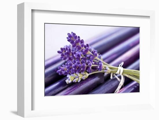 Lavender, Blossoms, Smell, Bunch-Andrea Haase-Framed Photographic Print