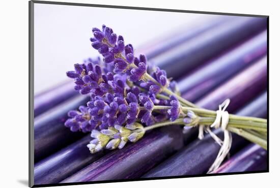 Lavender, Blossoms, Smell, Bunch-Andrea Haase-Mounted Photographic Print