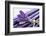 Lavender, Blossoms, Smell, Bunch-Andrea Haase-Framed Photographic Print