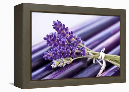 Lavender, Blossoms, Smell, Bunch-Andrea Haase-Framed Premier Image Canvas