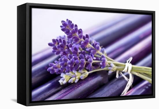 Lavender, Blossoms, Smell, Bunch-Andrea Haase-Framed Premier Image Canvas