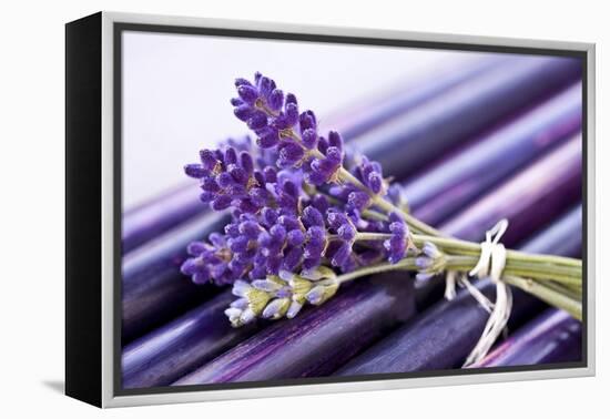 Lavender, Blossoms, Smell, Bunch-Andrea Haase-Framed Premier Image Canvas