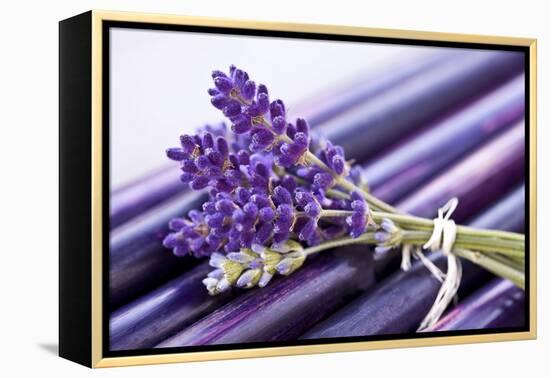 Lavender, Blossoms, Smell, Bunch-Andrea Haase-Framed Premier Image Canvas