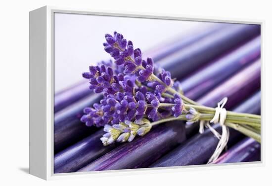 Lavender, Blossoms, Smell, Bunch-Andrea Haase-Framed Premier Image Canvas