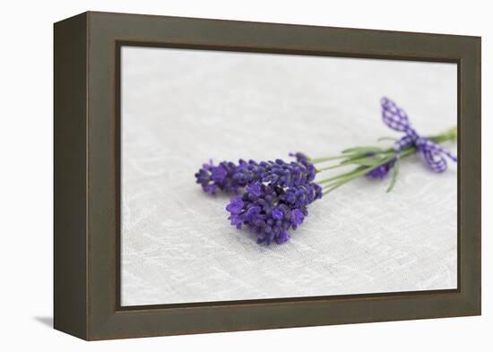 Lavender, Blossoms, Smell, Bunch-Andrea Haase-Framed Premier Image Canvas