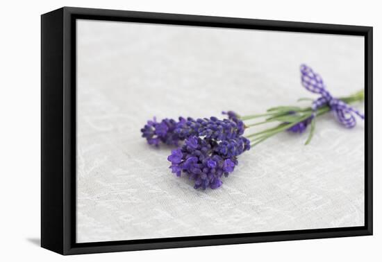 Lavender, Blossoms, Smell, Bunch-Andrea Haase-Framed Premier Image Canvas