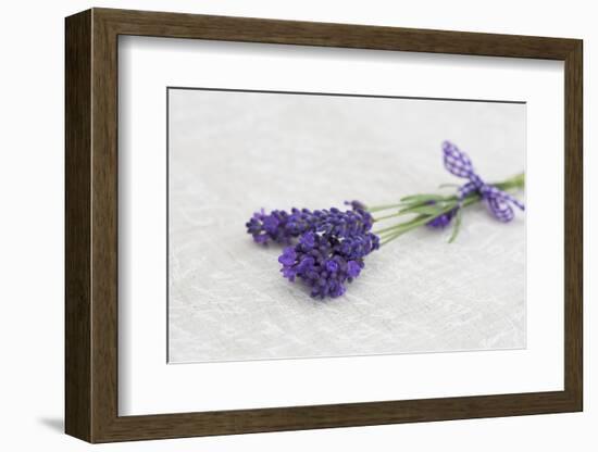 Lavender, Blossoms, Smell, Bunch-Andrea Haase-Framed Photographic Print
