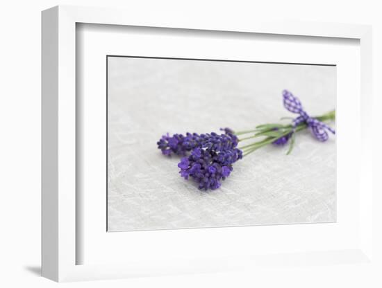 Lavender, Blossoms, Smell, Bunch-Andrea Haase-Framed Photographic Print