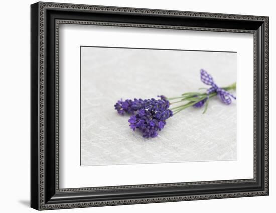 Lavender, Blossoms, Smell, Bunch-Andrea Haase-Framed Photographic Print