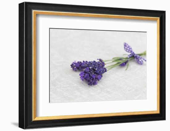 Lavender, Blossoms, Smell, Bunch-Andrea Haase-Framed Photographic Print