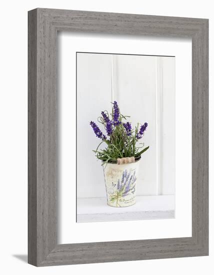 Lavender, Blossoms, Smell, Rivererpot-Andrea Haase-Framed Photographic Print