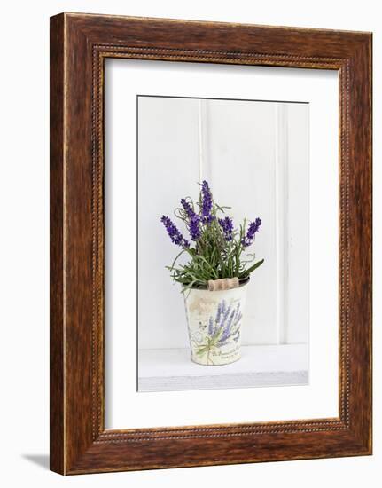 Lavender, Blossoms, Smell, Rivererpot-Andrea Haase-Framed Photographic Print