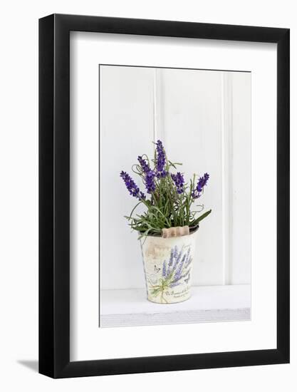 Lavender, Blossoms, Smell, Rivererpot-Andrea Haase-Framed Photographic Print