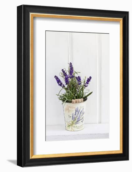 Lavender, Blossoms, Smell, Rivererpot-Andrea Haase-Framed Photographic Print