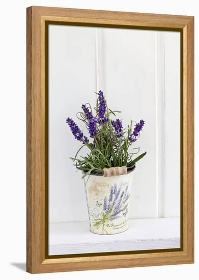 Lavender, Blossoms, Smell, Rivererpot-Andrea Haase-Framed Premier Image Canvas