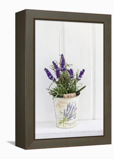Lavender, Blossoms, Smell, Rivererpot-Andrea Haase-Framed Premier Image Canvas