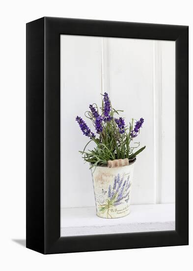 Lavender, Blossoms, Smell, Rivererpot-Andrea Haase-Framed Premier Image Canvas