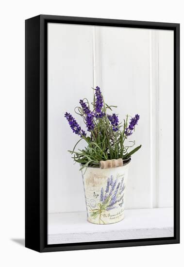 Lavender, Blossoms, Smell, Rivererpot-Andrea Haase-Framed Premier Image Canvas