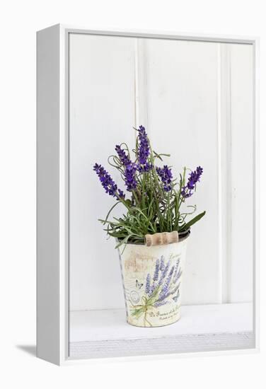 Lavender, Blossoms, Smell, Rivererpot-Andrea Haase-Framed Premier Image Canvas