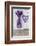 Lavender, Blossoms, Vase, Heart-Andrea Haase-Framed Photographic Print