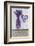 Lavender, Blossoms, Vase, Heart-Andrea Haase-Framed Photographic Print