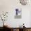 Lavender, Blossoms, Vase, Heart-Andrea Haase-Photographic Print displayed on a wall