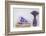 Lavender, Blossoms, Vase, Letters, Heart-Andrea Haase-Framed Photographic Print