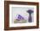 Lavender, Blossoms, Vase, Letters, Heart-Andrea Haase-Framed Photographic Print