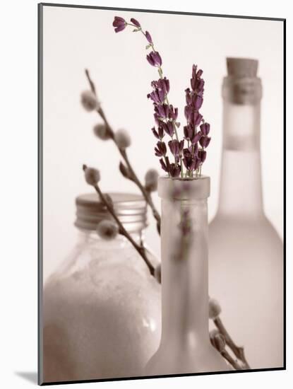 Lavender Bottles-Julie Greenwood-Mounted Art Print