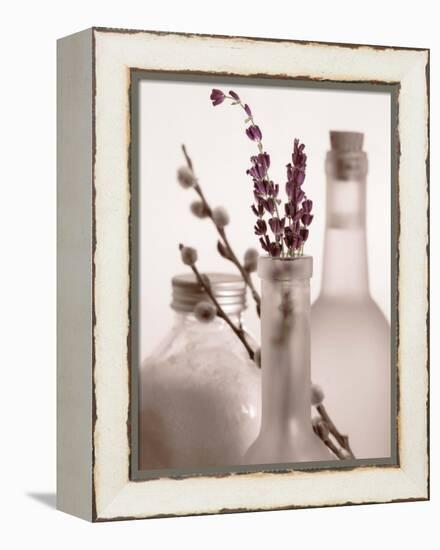 Lavender Bottles-Julie Greenwood-Framed Stretched Canvas