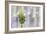 Lavender Bud I-Dana Styber-Framed Photographic Print