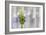 Lavender Bud I-Dana Styber-Framed Photographic Print