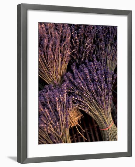 Lavender Bunches, Bouches-du-Rhone, France-Walter Bibikow-Framed Photographic Print