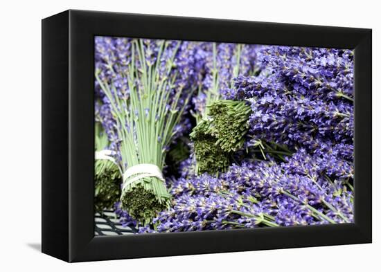 Lavender Bunches I-Dana Styber-Framed Premier Image Canvas