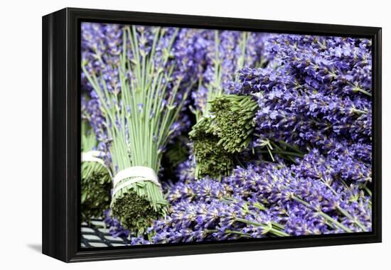 Lavender Bunches I-Dana Styber-Framed Premier Image Canvas