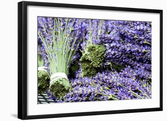 Lavender Bunches I-Dana Styber-Framed Photographic Print