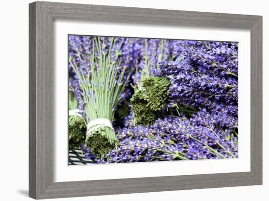 Lavender Bunches I-Dana Styber-Framed Photographic Print