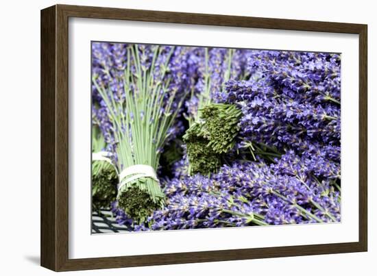 Lavender Bunches I-Dana Styber-Framed Photographic Print