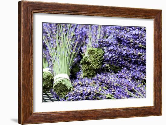 Lavender Bunches I-Dana Styber-Framed Photographic Print