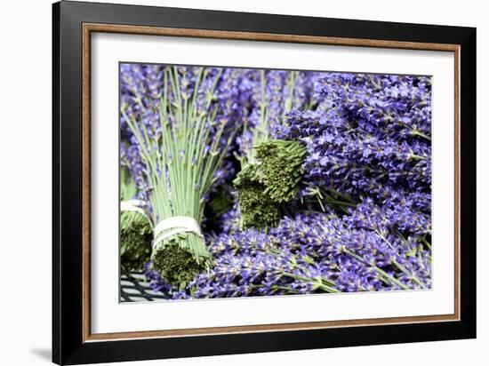 Lavender Bunches I-Dana Styber-Framed Photographic Print