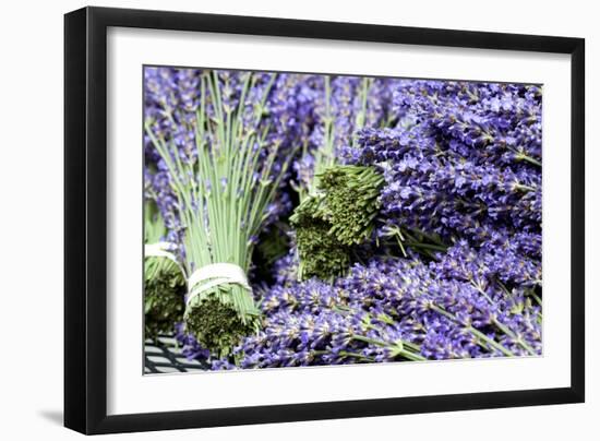 Lavender Bunches I-Dana Styber-Framed Photographic Print