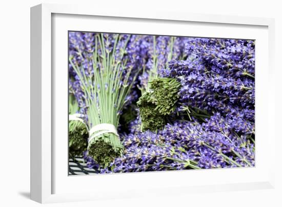 Lavender Bunches I-Dana Styber-Framed Photographic Print