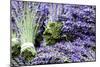 Lavender Bunches I-Dana Styber-Mounted Photographic Print