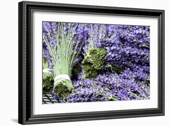 Lavender Bunches I-Dana Styber-Framed Photographic Print